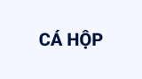 Cá hộp