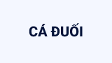 Cá đuối